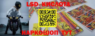шишки Заводоуковск