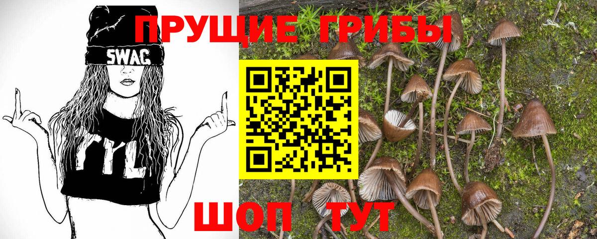 Галлюциногенные грибы прущие грибы Гагарин