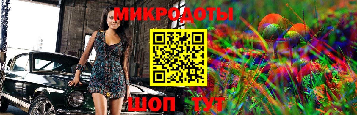 Галлюциногенные грибы Psilocybe Гагарин